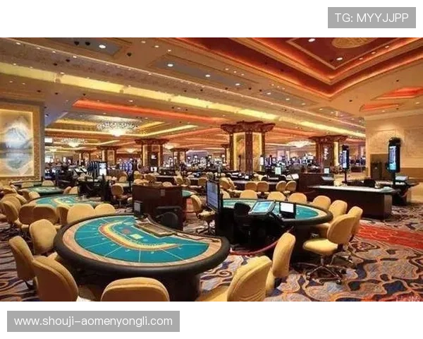 澳门一共有几个赌厅,揭秘澳门赌场的内部结构和运营情况