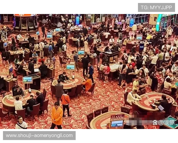 2024年澳门赌场排名前十名详细分析,了解各大赌场的特色与优势助你轻松赢取更多奖金