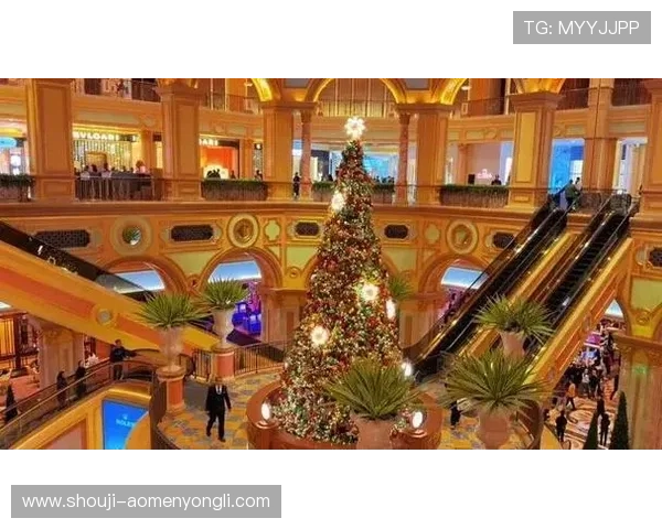 澳门最受欢迎的赌场推荐，全面解析最受玩家喜爱的娱乐场所