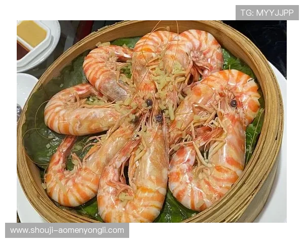 澳门置地广场官网展示丰富的品牌商户与特色美食推荐