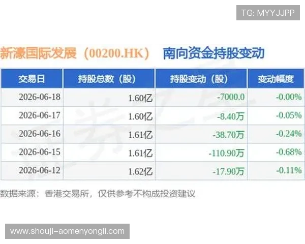 新濠国际集团最新财报解读，揭示公司盈利增长点与未来财务发展方向